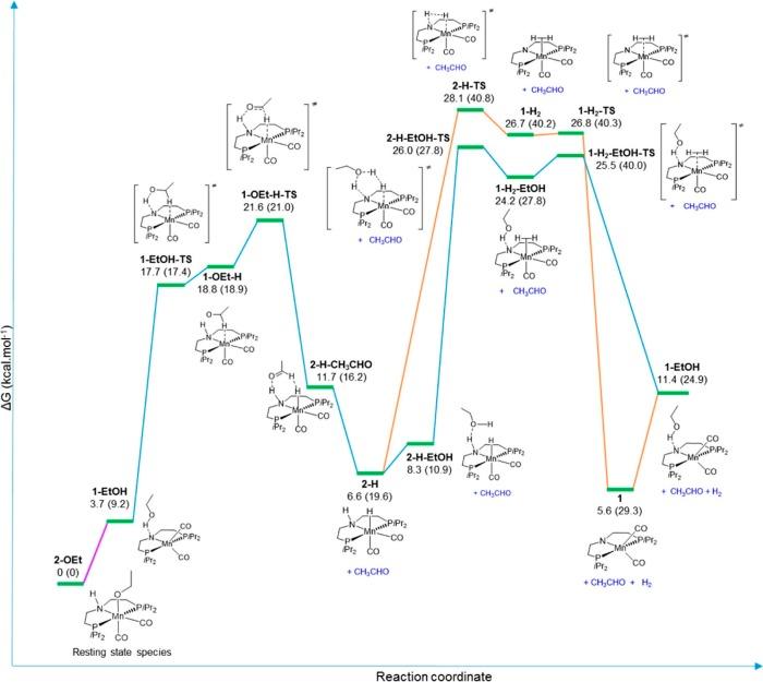 https://cdn.ncbi.nlm.nih.gov/pmc/blobs/7c34/6396130/d06a76d5835e/cr-2018-00361x_0006.jpg