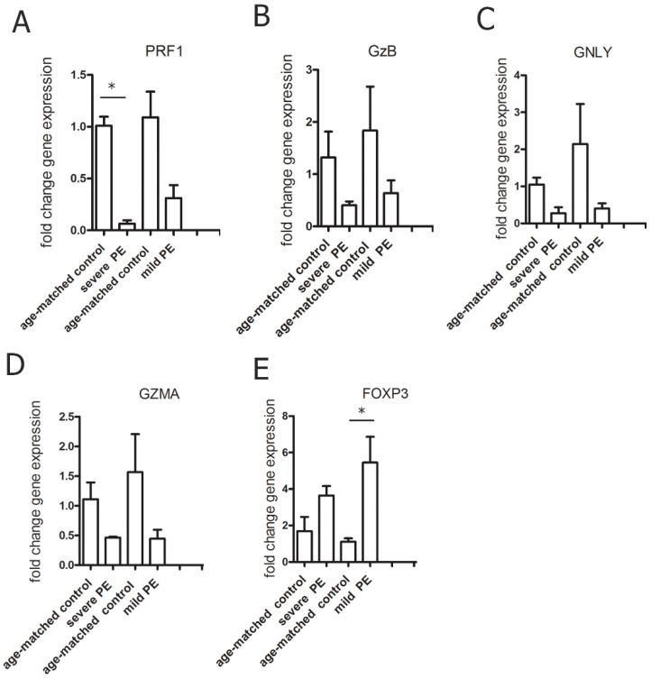 https://cdn.ncbi.nlm.nih.gov/pmc/blobs/7c37/8533461/3ee28728897e/biology-10-01037-g006.jpg