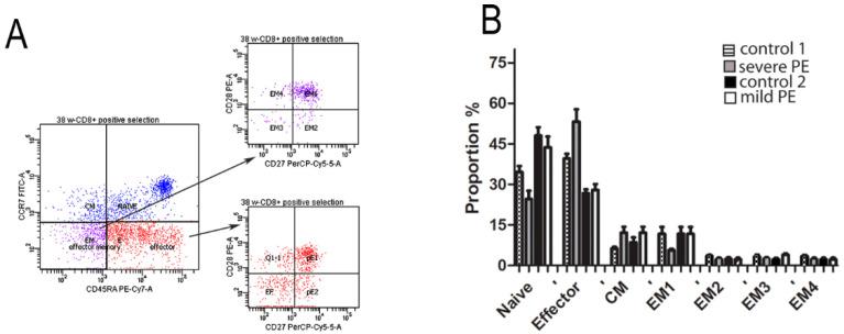 https://cdn.ncbi.nlm.nih.gov/pmc/blobs/7c37/8533461/ed22a5ff7017/biology-10-01037-g004.jpg