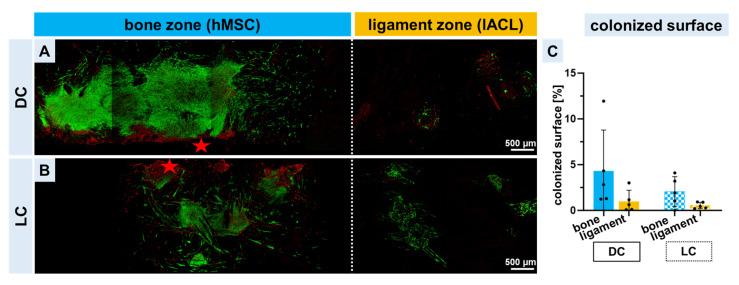 https://cdn.ncbi.nlm.nih.gov/pmc/blobs/7c3a/10095212/cdeb8f0eb2e9/ijms-24-06714-g003.jpg