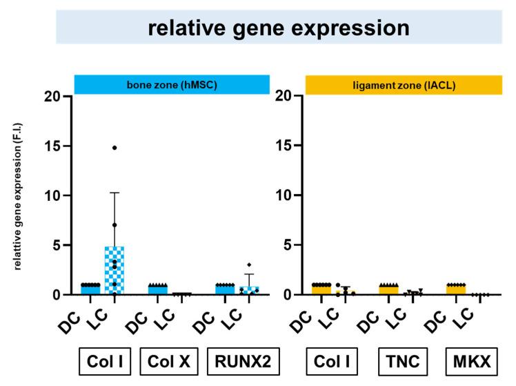 https://cdn.ncbi.nlm.nih.gov/pmc/blobs/7c3a/10095212/dd9ed6a72ec5/ijms-24-06714-g006.jpg