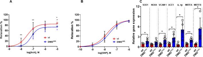 https://cdn.ncbi.nlm.nih.gov/pmc/blobs/7c3c/7927653/033923dc24b8/dmm-14-047704-g4.jpg