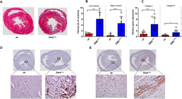 https://cdn.ncbi.nlm.nih.gov/pmc/blobs/7c3c/7927653/5918d1517872/dmm-14-047704-g3.jpg