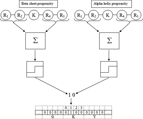 https://cdn.ncbi.nlm.nih.gov/pmc/blobs/7c3d/2879530/6f4418b2df4d/gkq061f1.jpg
