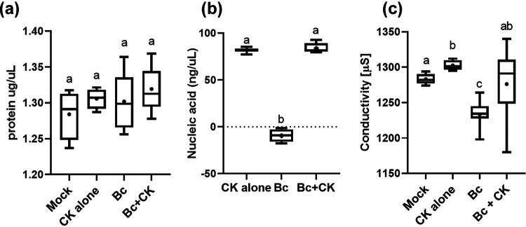 https://cdn.ncbi.nlm.nih.gov/pmc/blobs/7c3e/8524340/e54195f8e934/mbio.03068-20-f003.jpg