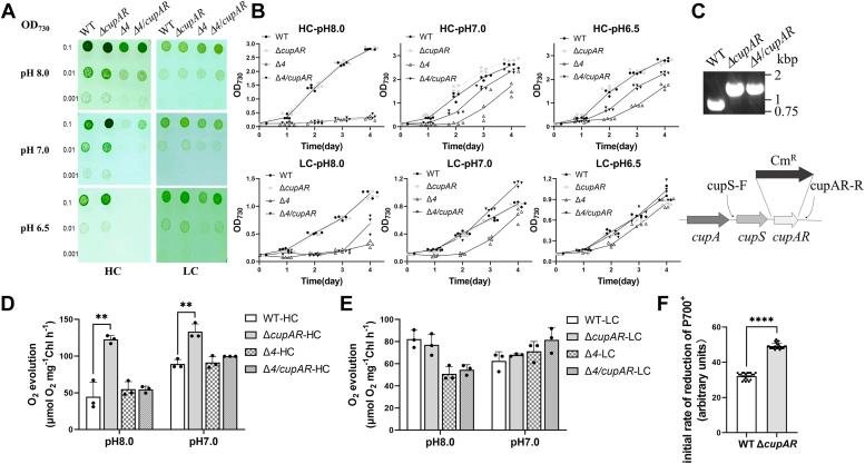 https://cdn.ncbi.nlm.nih.gov/pmc/blobs/7c40/11456788/87c0e1bd3436/gr1.jpg