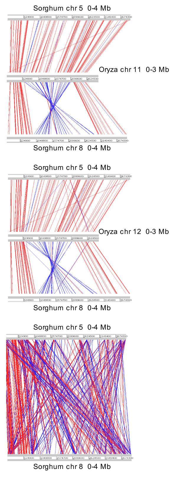 https://cdn.ncbi.nlm.nih.gov/pmc/blobs/7c40/2797015/7ec4401cf56d/1471-2229-9-146-5.jpg