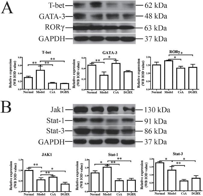 https://cdn.ncbi.nlm.nih.gov/pmc/blobs/7c41/5500321/3f17af933eb6/pone.0180417.g008.jpg
