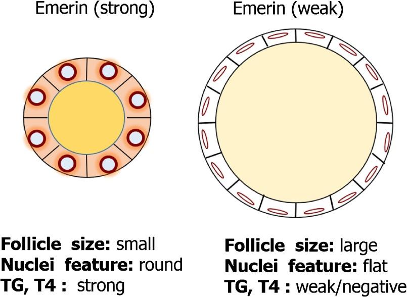 https://cdn.ncbi.nlm.nih.gov/pmc/blobs/7c43/4387265/ddcf4d60f171/AHC14041f05.jpg