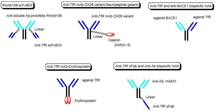 https://cdn.ncbi.nlm.nih.gov/pmc/blobs/7c46/9313144/4f448b538b4d/biomedicines-10-01597-g006.jpg