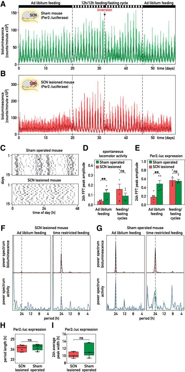 https://cdn.ncbi.nlm.nih.gov/pmc/blobs/7c4b/7919413/8712e84ed082/329f02.jpg