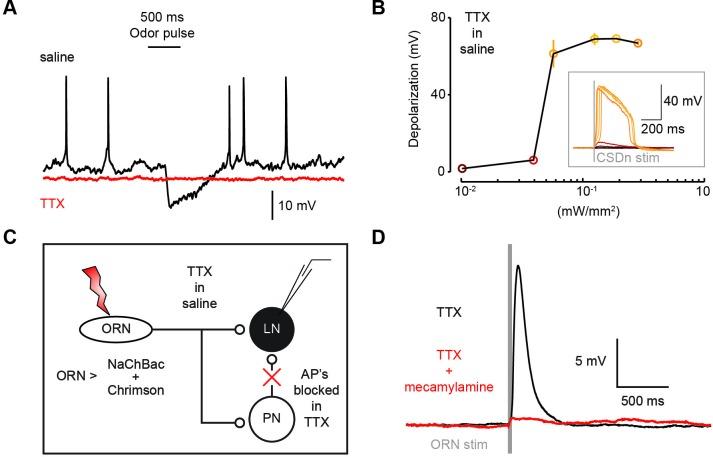 https://cdn.ncbi.nlm.nih.gov/pmc/blobs/7c50/5030083/05937cc0f30f/elife-16836-fig3-figsupp4.jpg
