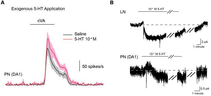 https://cdn.ncbi.nlm.nih.gov/pmc/blobs/7c50/5030083/512fa33a08e0/elife-16836-fig5-figsupp1.jpg