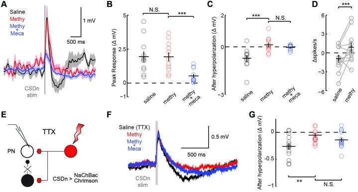 https://cdn.ncbi.nlm.nih.gov/pmc/blobs/7c50/5030083/617762674813/elife-16836-fig4.jpg