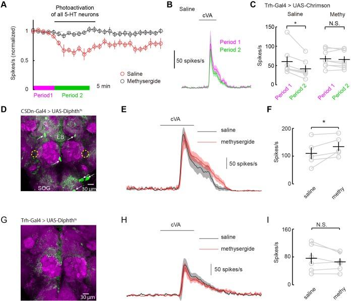 https://cdn.ncbi.nlm.nih.gov/pmc/blobs/7c50/5030083/faccb861a5d0/elife-16836-fig7.jpg