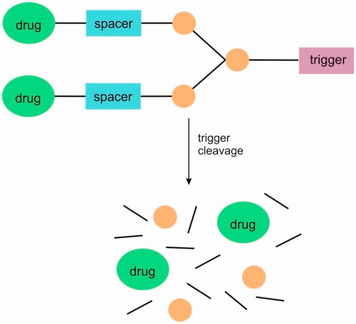 https://cdn.ncbi.nlm.nih.gov/pmc/blobs/7c51/11125333/58b80c46fc70/pharmaceutics-16-00668-g001.jpg
