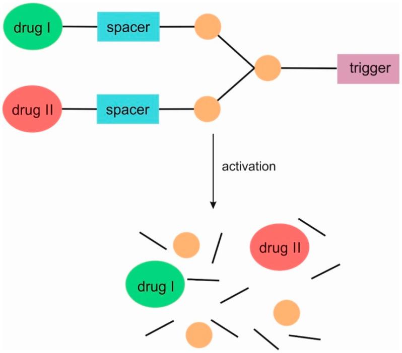 https://cdn.ncbi.nlm.nih.gov/pmc/blobs/7c51/11125333/7ae5aa58f8c2/pharmaceutics-16-00668-g003.jpg