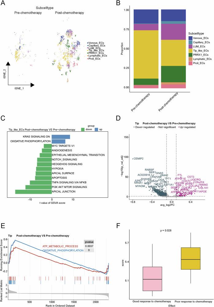 https://cdn.ncbi.nlm.nih.gov/pmc/blobs/7c52/11993737/0d61783c3fa6/41698_2025_896_Fig4_HTML.jpg