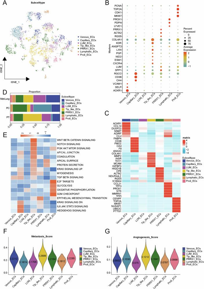 https://cdn.ncbi.nlm.nih.gov/pmc/blobs/7c52/11993737/35bc8aa27cf3/41698_2025_896_Fig2_HTML.jpg