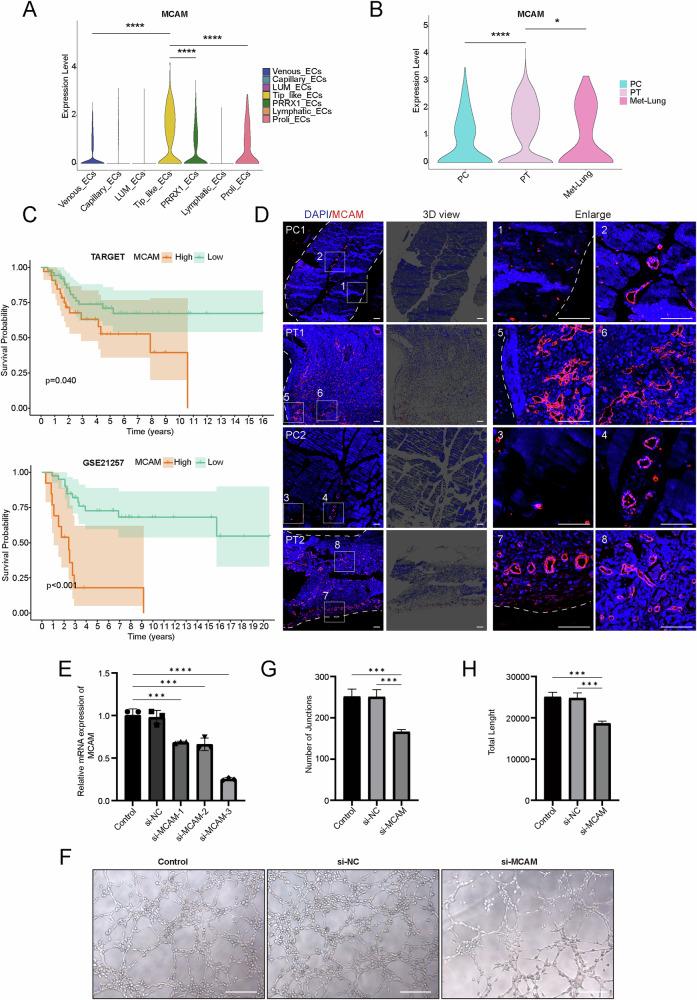 https://cdn.ncbi.nlm.nih.gov/pmc/blobs/7c52/11993737/5064bdd9185f/41698_2025_896_Fig6_HTML.jpg