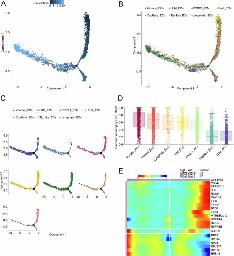 https://cdn.ncbi.nlm.nih.gov/pmc/blobs/7c52/11993737/58428662ec66/41698_2025_896_Fig5_HTML.jpg