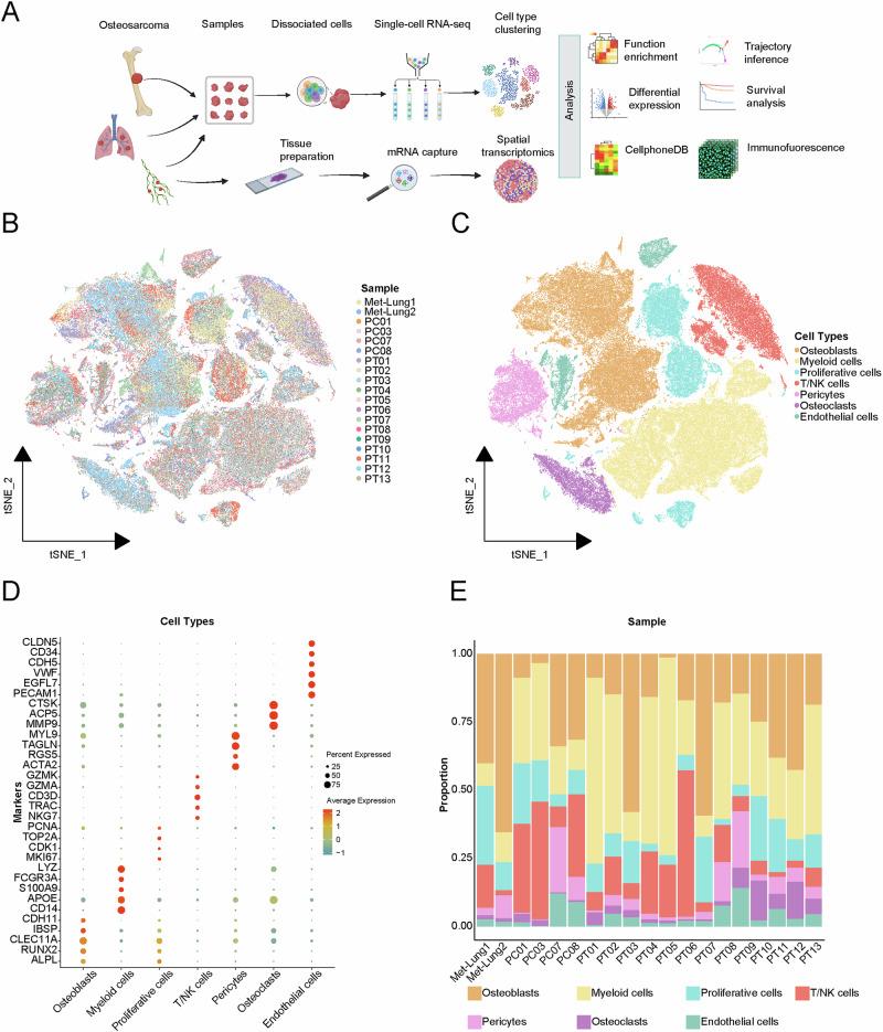 https://cdn.ncbi.nlm.nih.gov/pmc/blobs/7c52/11993737/586347f665a4/41698_2025_896_Fig1_HTML.jpg