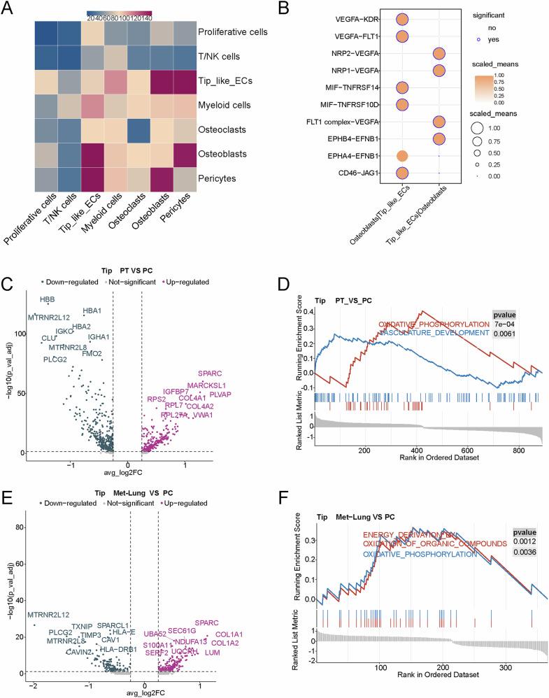 https://cdn.ncbi.nlm.nih.gov/pmc/blobs/7c52/11993737/71afacf5981f/41698_2025_896_Fig3_HTML.jpg