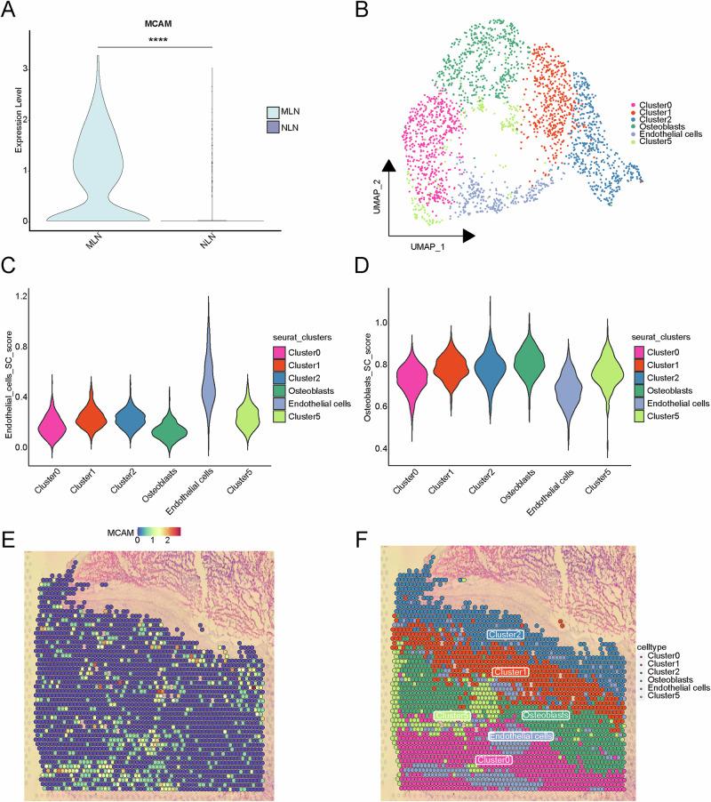https://cdn.ncbi.nlm.nih.gov/pmc/blobs/7c52/11993737/d2f18d794712/41698_2025_896_Fig7_HTML.jpg