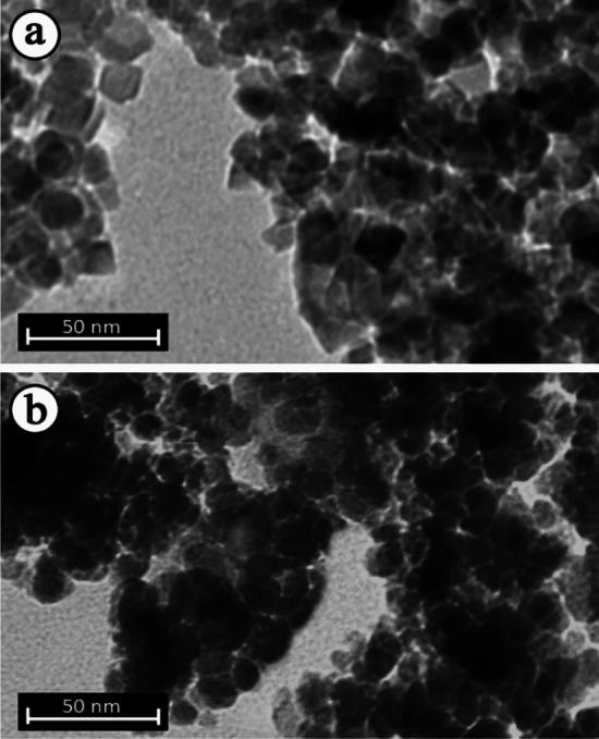 https://cdn.ncbi.nlm.nih.gov/pmc/blobs/7c53/9663447/1f13434e3f22/41598_2022_24008_Fig5_HTML.jpg