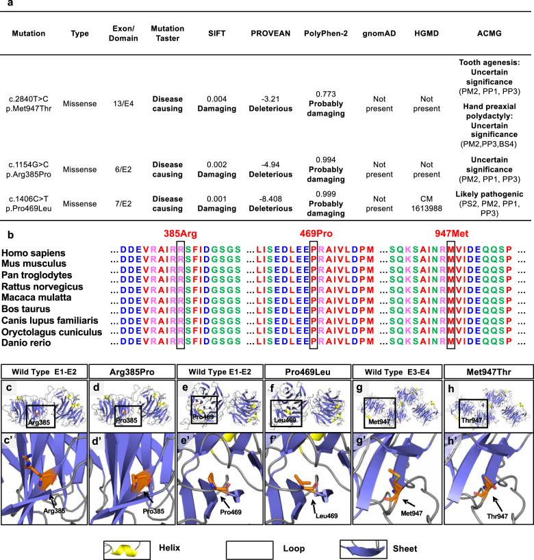https://cdn.ncbi.nlm.nih.gov/pmc/blobs/7c54/8581002/db4fcbe86551/41525_2021_262_Fig2_HTML.jpg