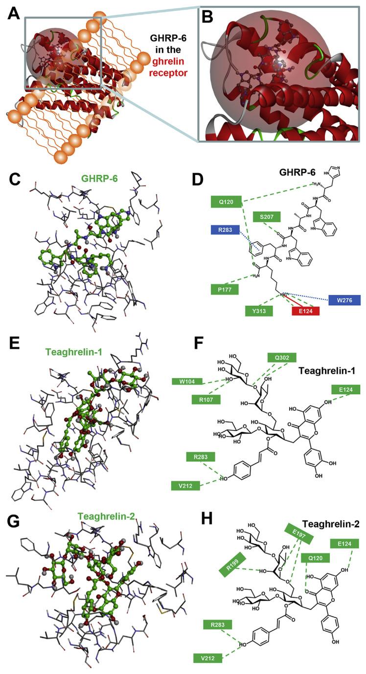 https://cdn.ncbi.nlm.nih.gov/pmc/blobs/7c54/9345446/0d546254b1ca/jfda-23-04-660f5.jpg