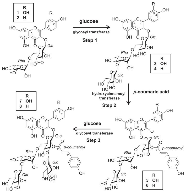 https://cdn.ncbi.nlm.nih.gov/pmc/blobs/7c54/9345446/9924583fd0e9/jfda-23-04-660f2.jpg