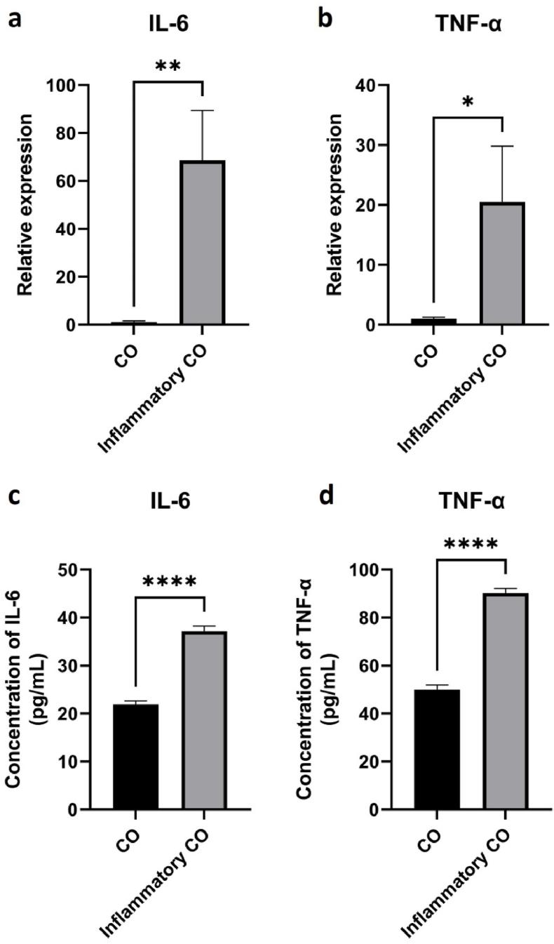 https://cdn.ncbi.nlm.nih.gov/pmc/blobs/7c57/12138948/61afa8ec4df7/gr5.jpg