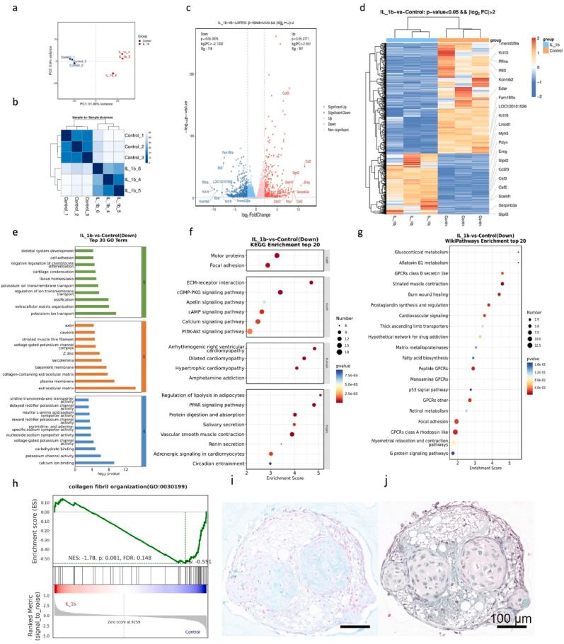 https://cdn.ncbi.nlm.nih.gov/pmc/blobs/7c57/12138948/7f279a04ce11/gr4.jpg