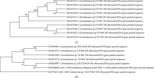 https://cdn.ncbi.nlm.nih.gov/pmc/blobs/7c58/9391159/fa190595a459/IJMICRO2022-4386268.003.jpg