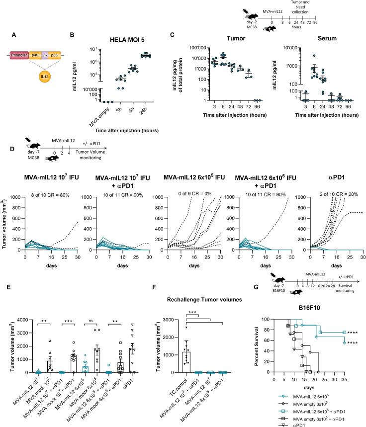 https://cdn.ncbi.nlm.nih.gov/pmc/blobs/7c59/10151998/669be065fe92/jitc-2023-006718f01.jpg