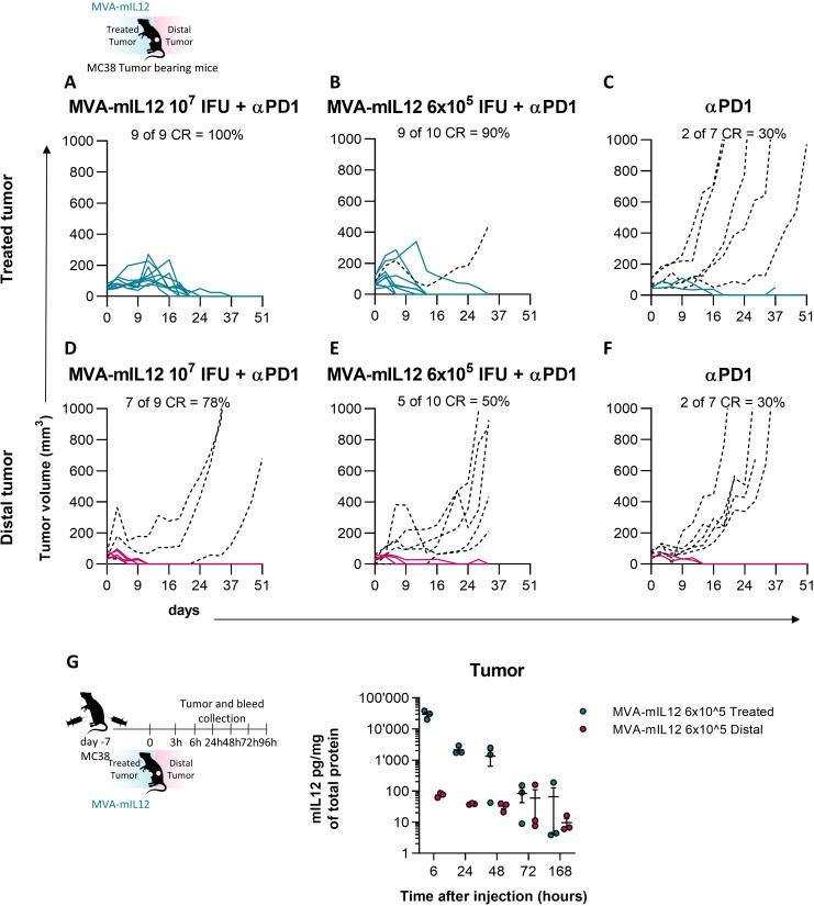 https://cdn.ncbi.nlm.nih.gov/pmc/blobs/7c59/10151998/bb10ad943cf1/jitc-2023-006718f02.jpg
