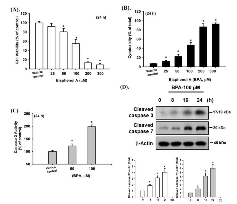 https://cdn.ncbi.nlm.nih.gov/pmc/blobs/7c59/8122752/24fb250f12fd/ijms-22-04379-g001.jpg