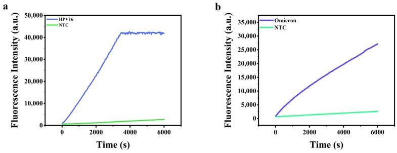 https://cdn.ncbi.nlm.nih.gov/pmc/blobs/7c5a/11676733/f78c41db65fc/molecules-29-06066-g005.jpg