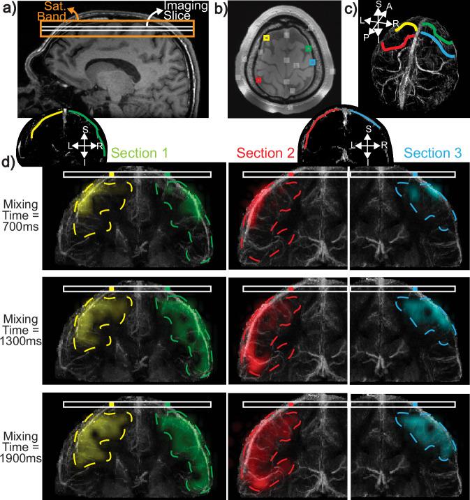 https://cdn.ncbi.nlm.nih.gov/pmc/blobs/7c5a/12022259/a583b2692f28/41467_2025_59108_Fig3_HTML.jpg