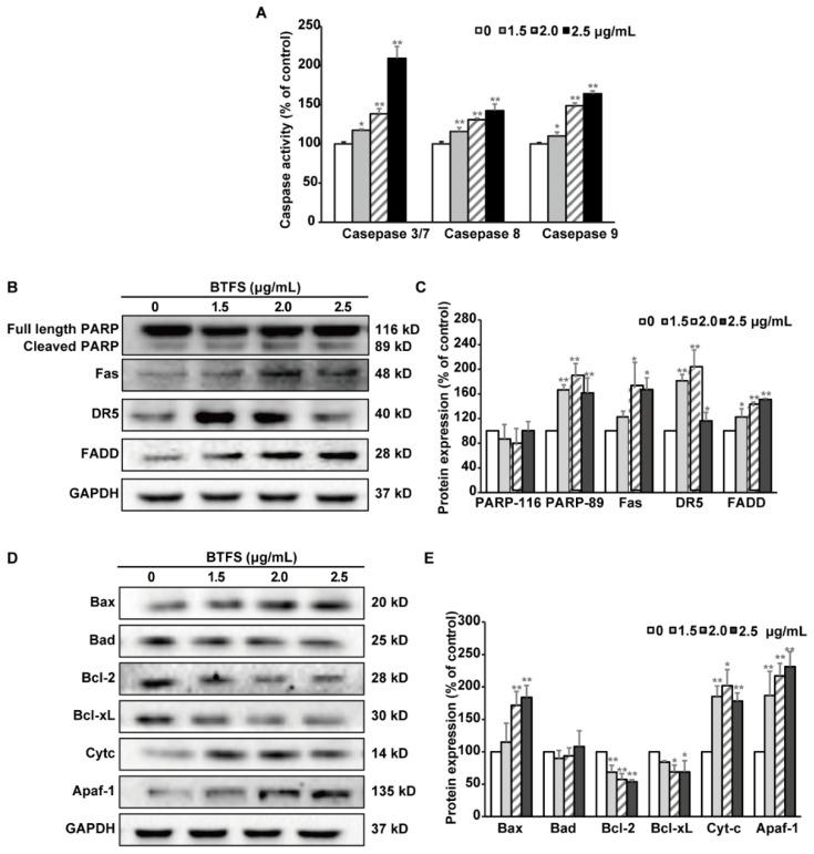 https://cdn.ncbi.nlm.nih.gov/pmc/blobs/7c5a/7435957/daeeaf450638/molecules-25-03515-g005.jpg