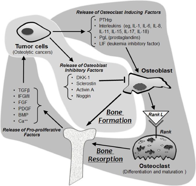 https://cdn.ncbi.nlm.nih.gov/pmc/blobs/7c5c/7058902/6226b9abee6a/gr1.jpg