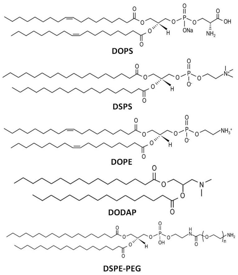 https://cdn.ncbi.nlm.nih.gov/pmc/blobs/7c5d/12114787/6fab659b575d/pharmaceutics-17-00651-g002.jpg