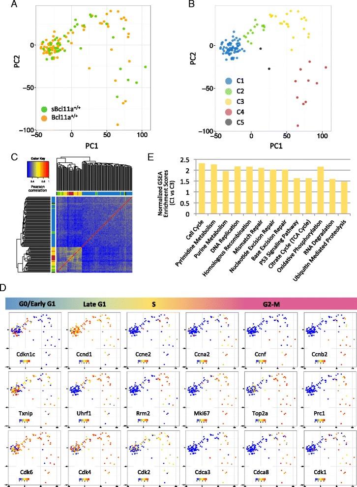 https://cdn.ncbi.nlm.nih.gov/pmc/blobs/7c5e/4576406/d46fe696081a/13059_2015_739_Fig3_HTML.jpg