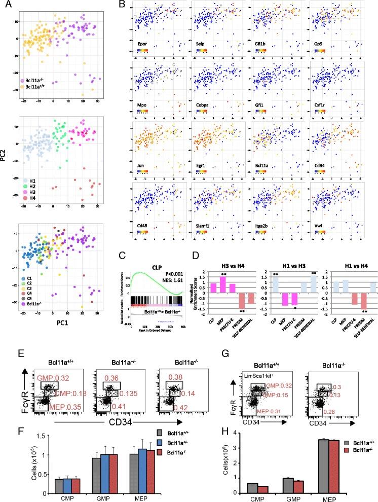 https://cdn.ncbi.nlm.nih.gov/pmc/blobs/7c5e/4576406/ef200d934fa2/13059_2015_739_Fig6_HTML.jpg