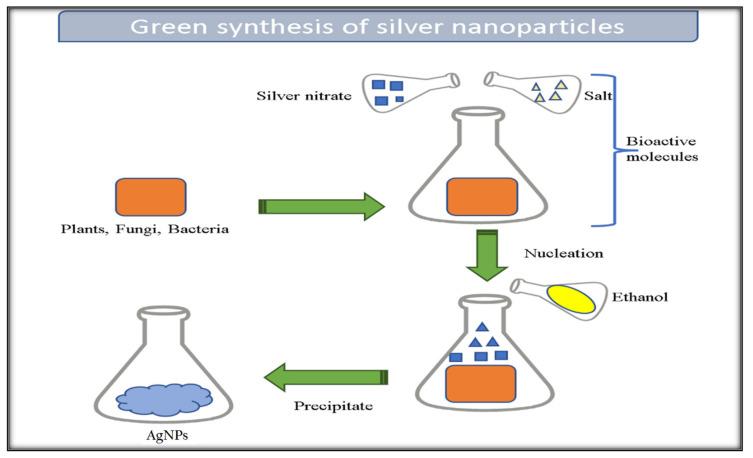 https://cdn.ncbi.nlm.nih.gov/pmc/blobs/7c5f/10378855/6281ad11aba6/gels-09-00530-g002.jpg