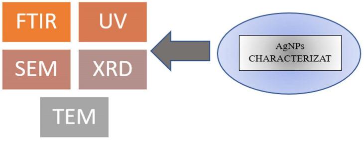 https://cdn.ncbi.nlm.nih.gov/pmc/blobs/7c5f/10378855/b2d4d8f0db8f/gels-09-00530-g003.jpg