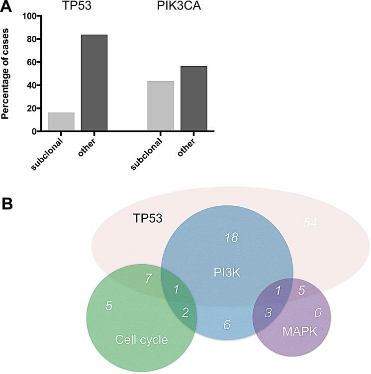 https://cdn.ncbi.nlm.nih.gov/pmc/blobs/7c60/4259450/01e249b582c7/oncotarget-05-9952-g003.jpg
