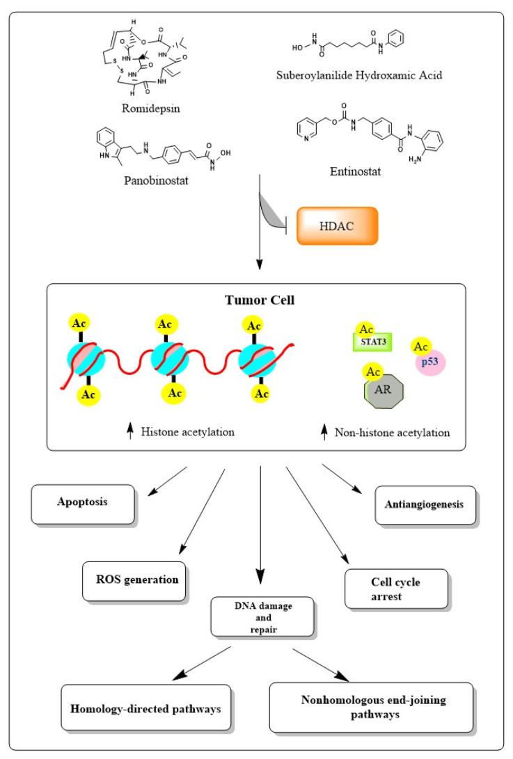 https://cdn.ncbi.nlm.nih.gov/pmc/blobs/7c61/10216849/9f227936a528/cancers-15-02808-g001.jpg
