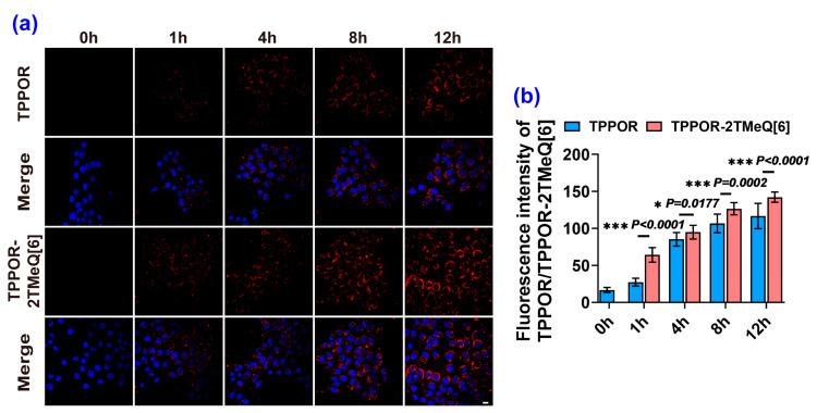 https://cdn.ncbi.nlm.nih.gov/pmc/blobs/7c61/11641528/020a8b05e148/ijms-25-13037-g005.jpg